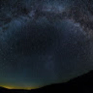 Meet your Posher, Leo